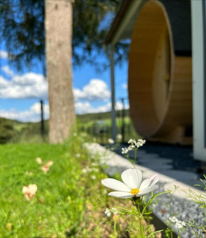 Chalet Panor'Anna St. Vith Eksteriør billede